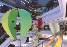 为什么篮球教练的经验很重要_1